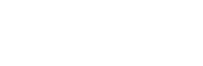 CINI